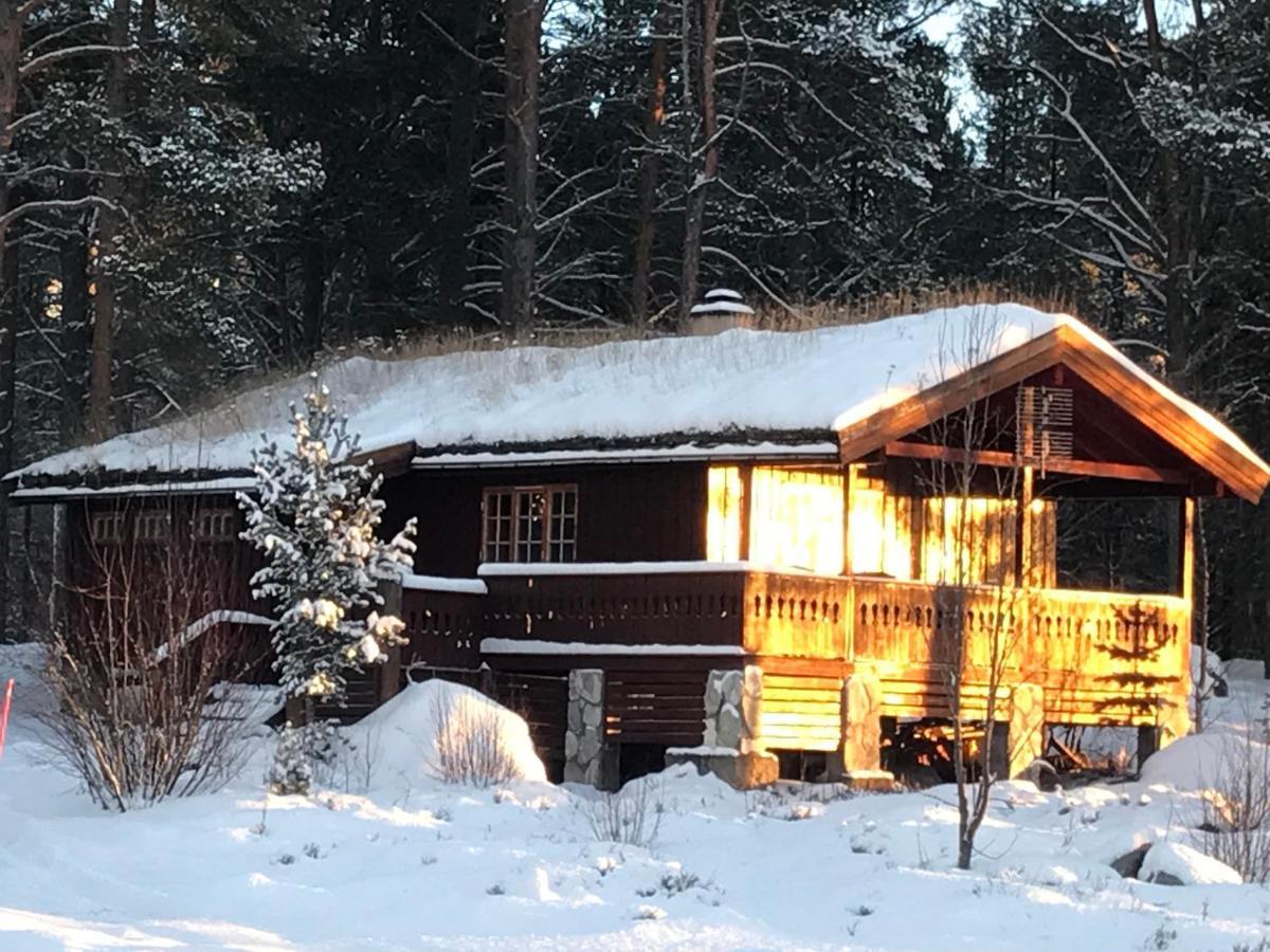 Batsto Camping Elga Екстер'єр фото