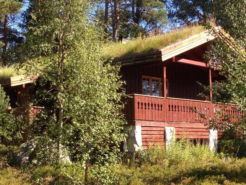 Batsto Camping Elga Екстер'єр фото