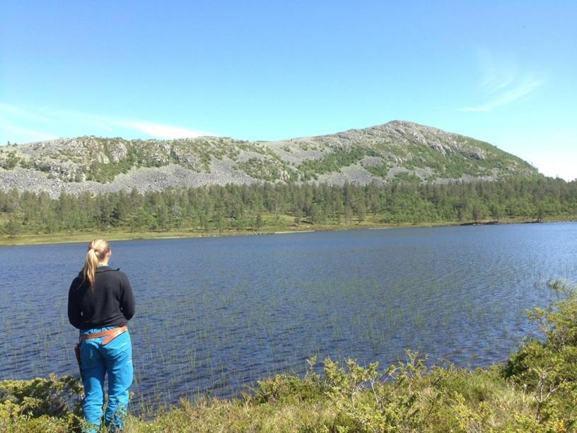 Batsto Camping Elga Екстер'єр фото