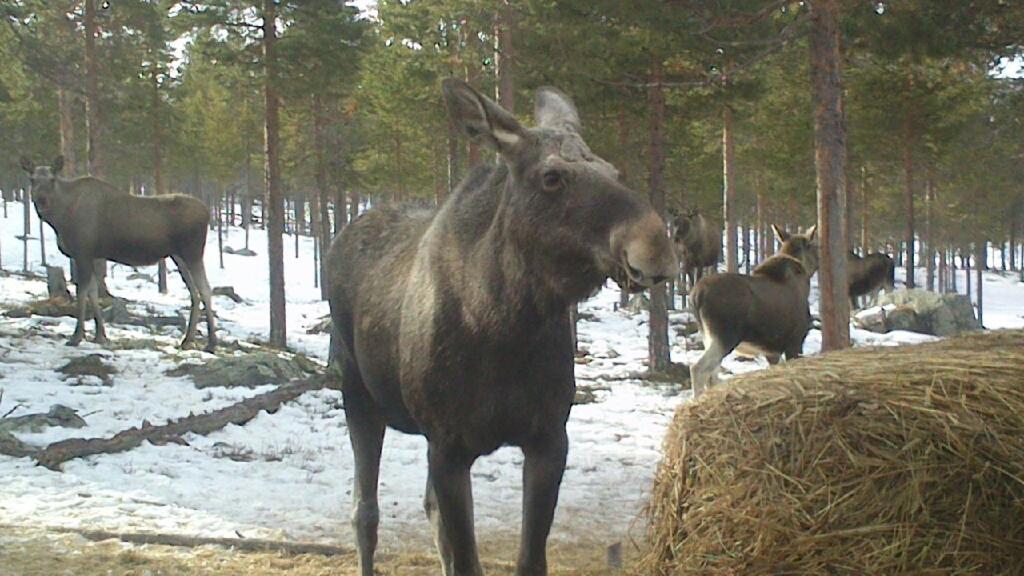 Batsto Camping Elga Екстер'єр фото